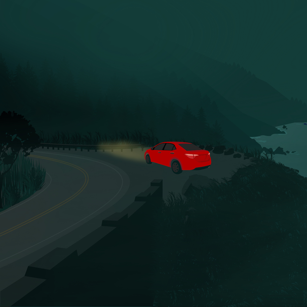 dipsea image